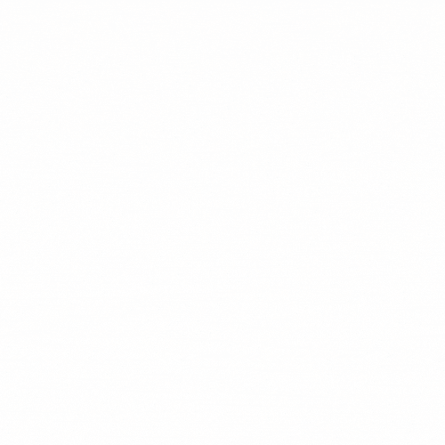 Decorative white image spacer; no content.