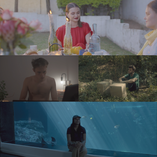 Four-panel collage: outdoor dinner scene with candles and two women at a table; a shirtless man working on a laptop in a dim room; a man in a forest with cardboard boxes outdoors; and a woman sitting inside an underwater tunnel surrounded by fish in an aquarium.