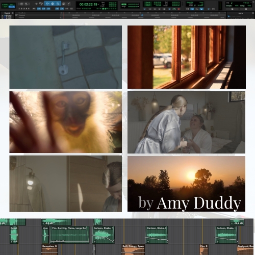 Collage of six video stills from a project: window frame, monkey close-up, patient and nurse, dim hallway, sunset with 'by Amy Duddy' title, and a tile with a studio timeline below.