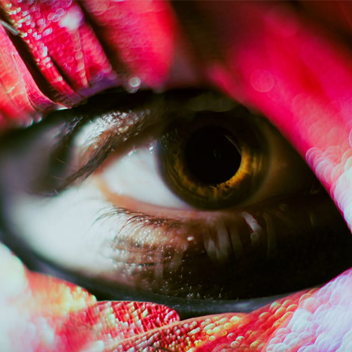 Close-up of a brown iris and pupil framed by red makeup, a macro portrait shot of an eye.