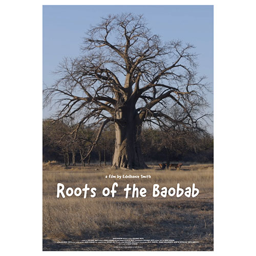 Poster for a film titled Roots of the Baobab, showing a large leafless baobab tree in a dry savanna.