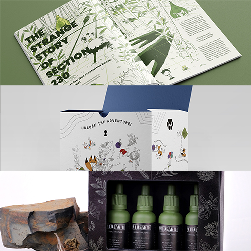 Collage of three product packages: a botanical printed brochure, a fold-out adventure-themed box, and a gift box with four green bottles.