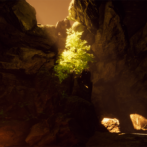 Tree growing among rocky cave walls, illuminated by warm sunlight from an opening above.