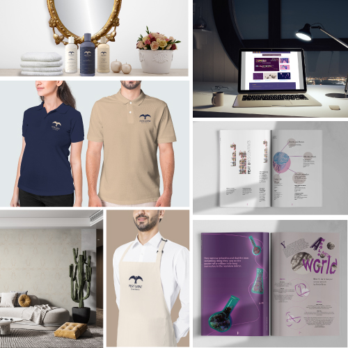 Brand collage showcasing skincare products on a shelf, two polo shirts with a logo, an apron on a man, a laptop on a desk with a site open, a modern living room, and two open product catalogs.