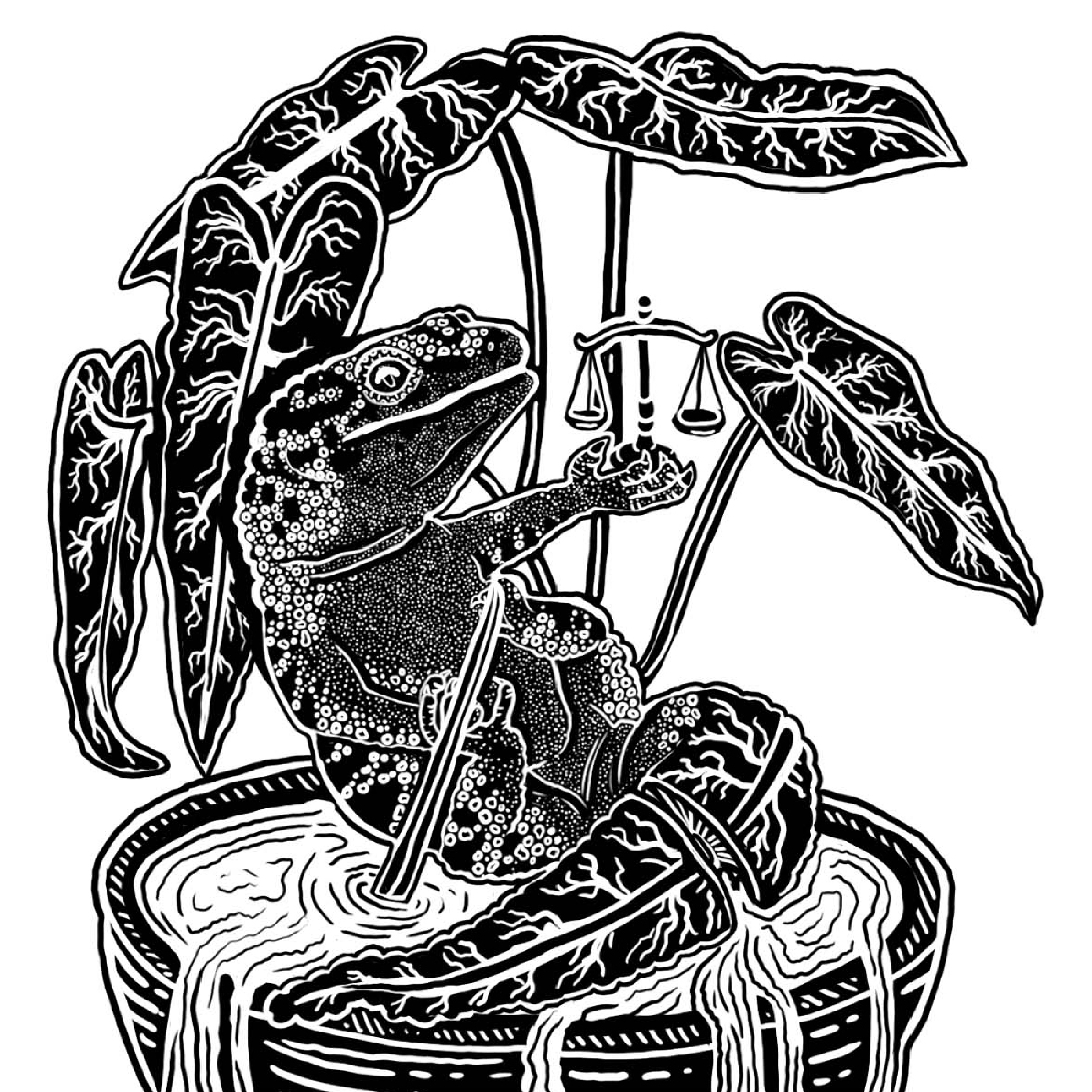 Black-and-white line drawing of a surreal plant-like creature with curved leaves and hanging pods.