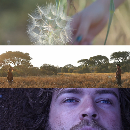 Three-panel collage: a dandelion seed head in focus; a sunlit savannah with two figures in the distance; and a close-up of a man's face looking upward.