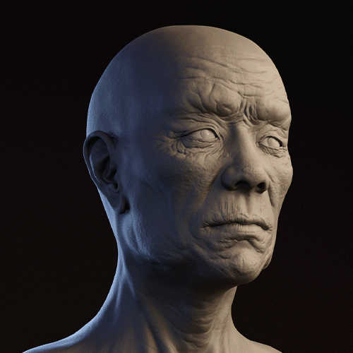 3D bust of an elderly man with deep wrinkles, looking to the left against a dark background