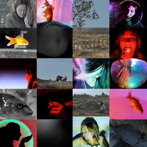 Grid collage of 20 small photos including people, animals, nature scenes, and abstract imagery.