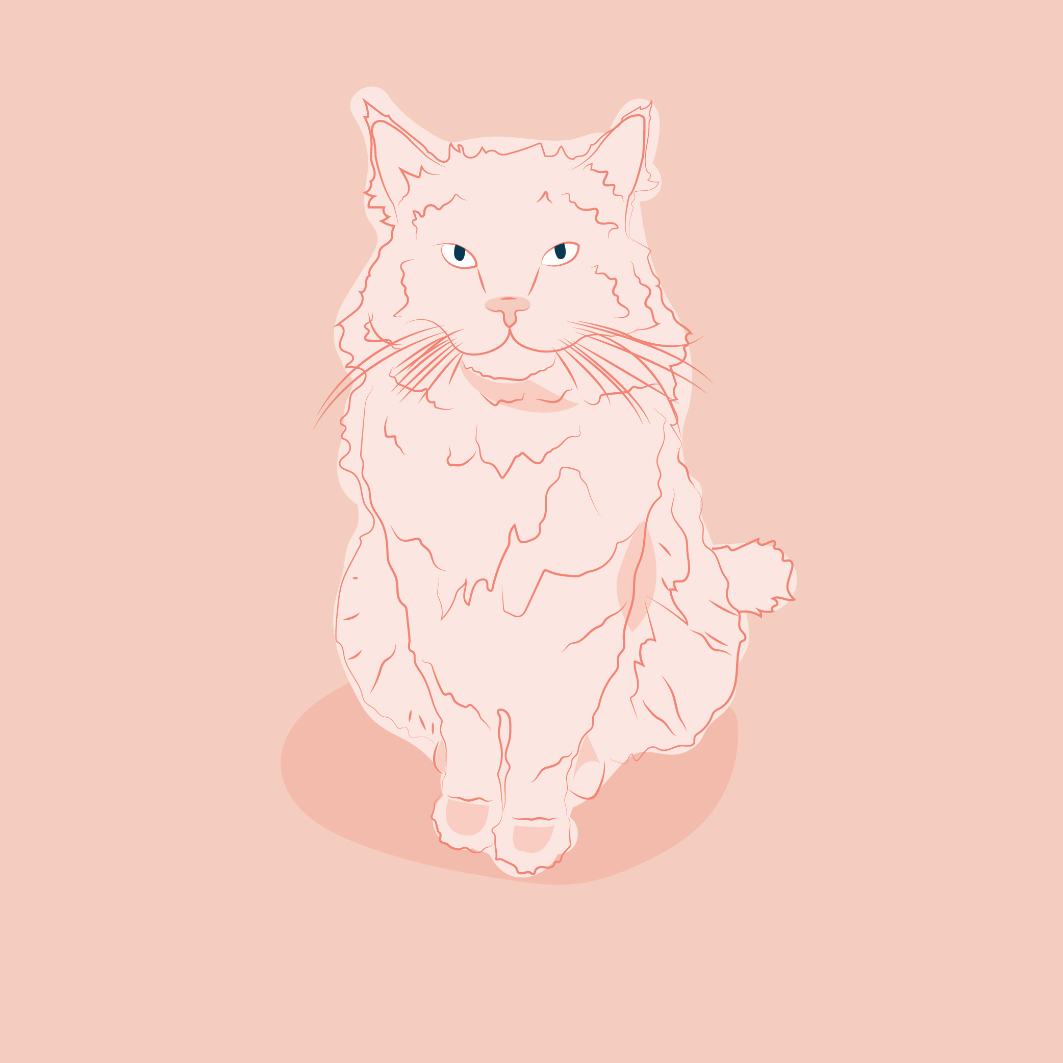 Minimalist peach-colored line drawing of a cat's face and upper body against a soft peach background, in coral outlines.