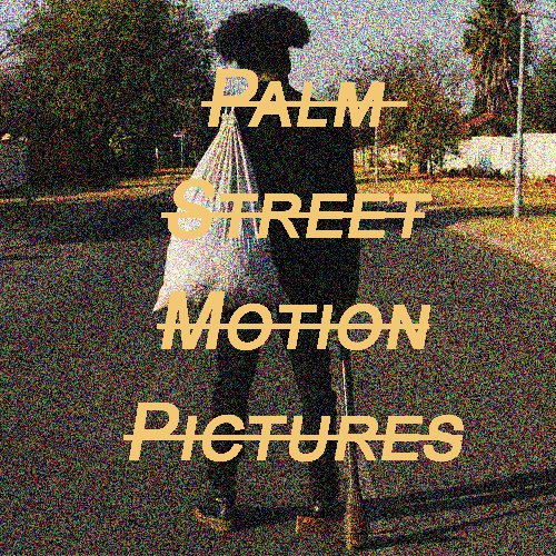 Branding image showing a street scene with two people and a tripod, overlaid by the beige logo text 'Palm Street Motion Pictures'.